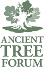 Ancient Tree Forum logo